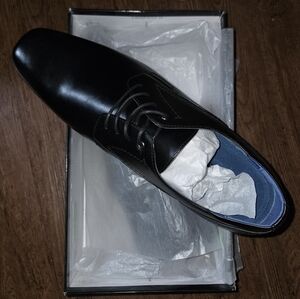 Steve Madden Nikko Loafers